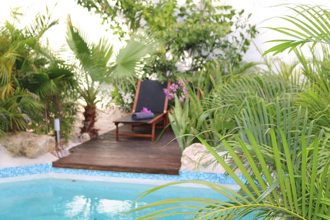 New House Tropic Paradise With Pool Βίλλεμσταντ Εξωτερικό φωτογραφία