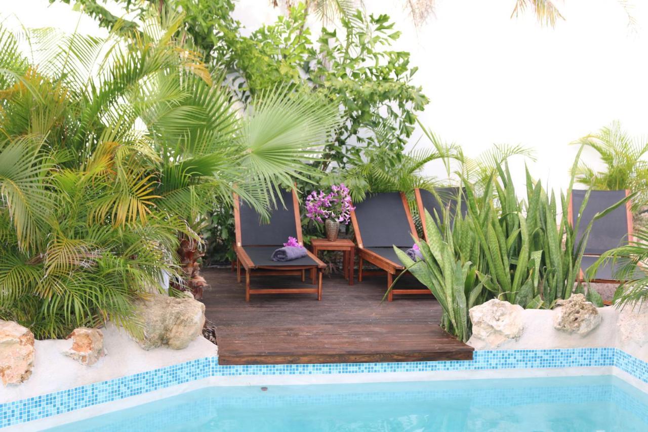 New House Tropic Paradise With Pool Βίλλεμσταντ Εξωτερικό φωτογραφία
