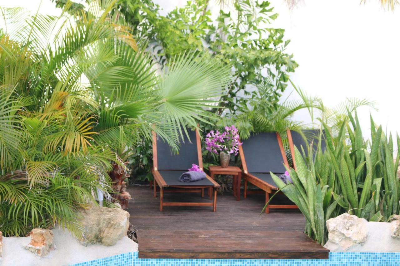New House Tropic Paradise With Pool Βίλλεμσταντ Εξωτερικό φωτογραφία