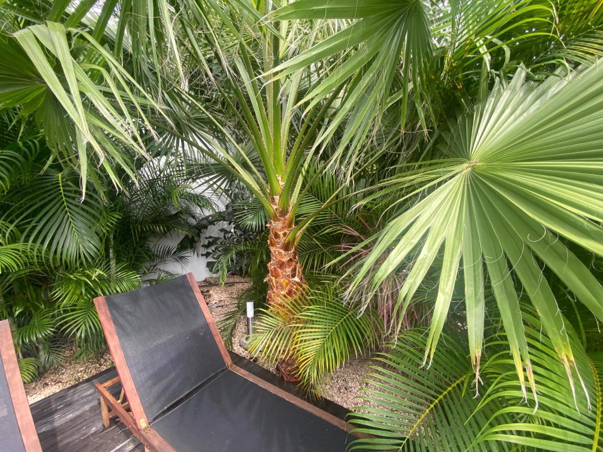 New House Tropic Paradise With Pool Βίλλεμσταντ Εξωτερικό φωτογραφία